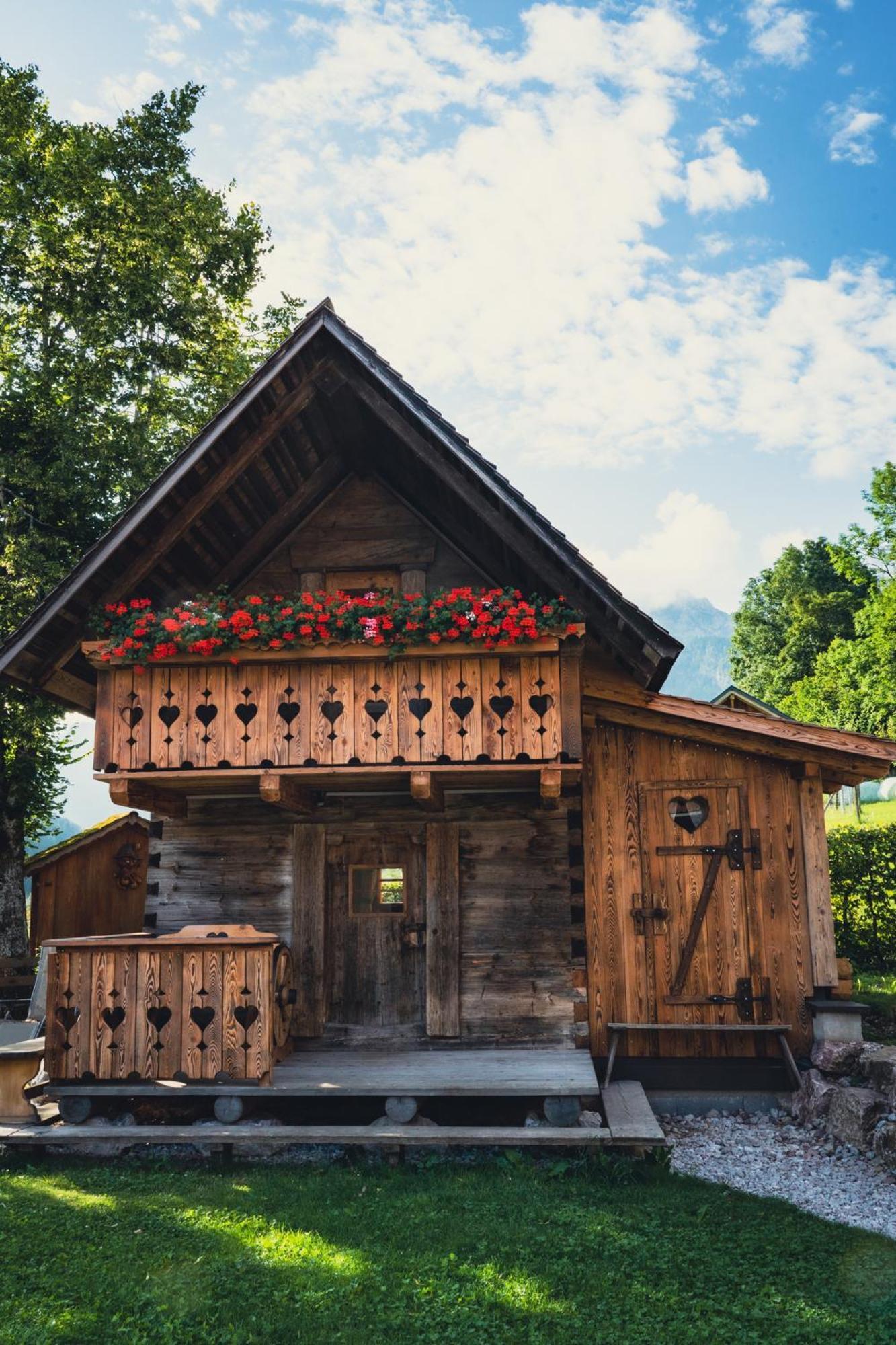 Singerskogel - Ferienhof Und Jausnstub'N Spital Am Pyhrn Luaran gambar