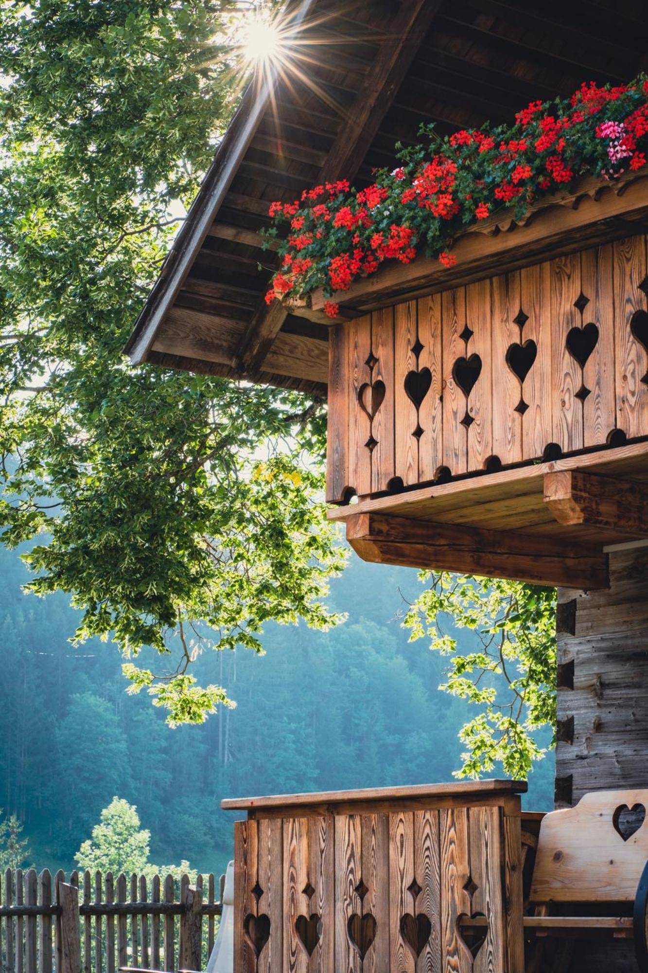 Singerskogel - Ferienhof Und Jausnstub'N Spital Am Pyhrn Luaran gambar