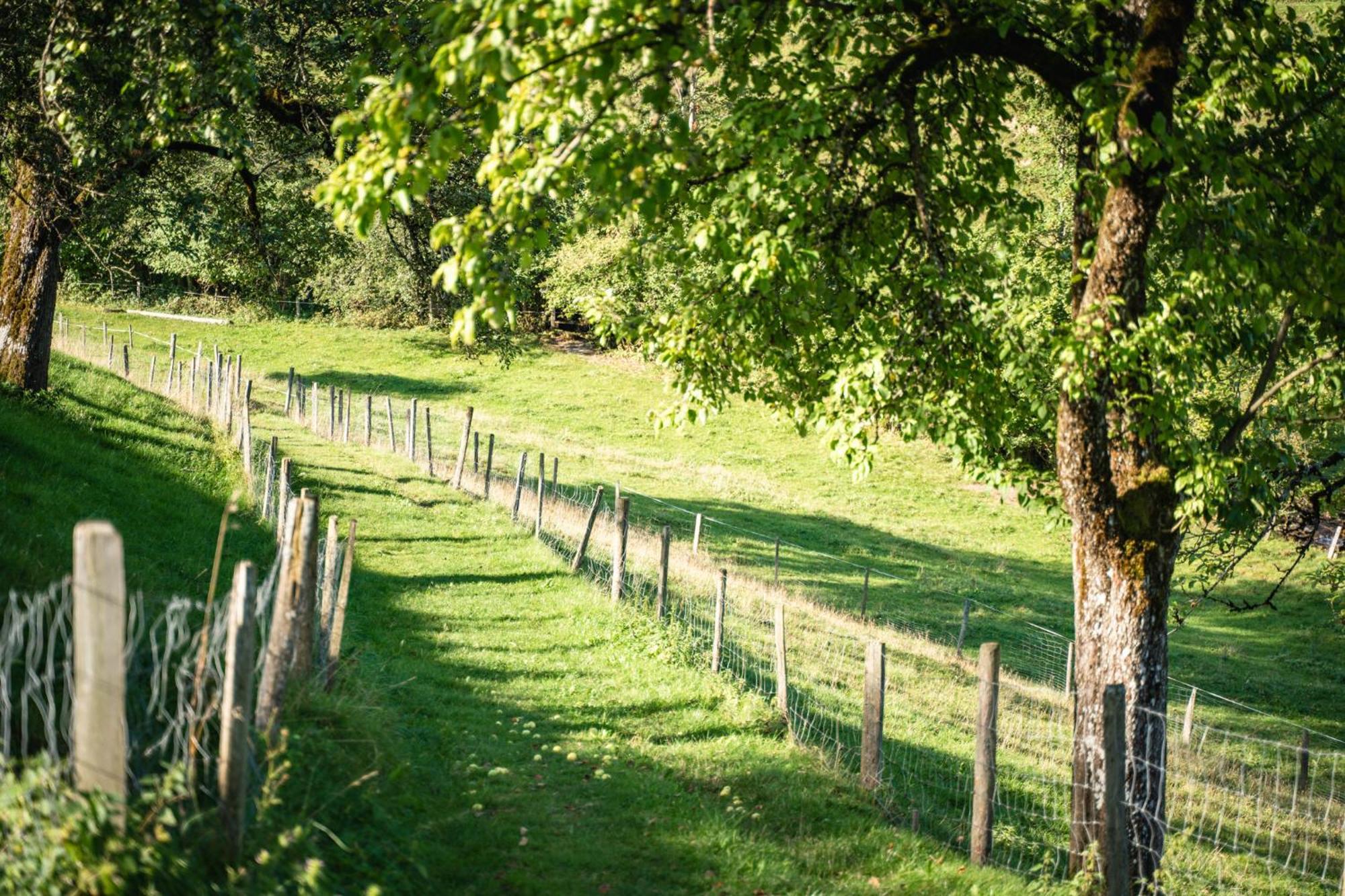 Singerskogel - Ferienhof Und Jausnstub'N Spital Am Pyhrn Luaran gambar