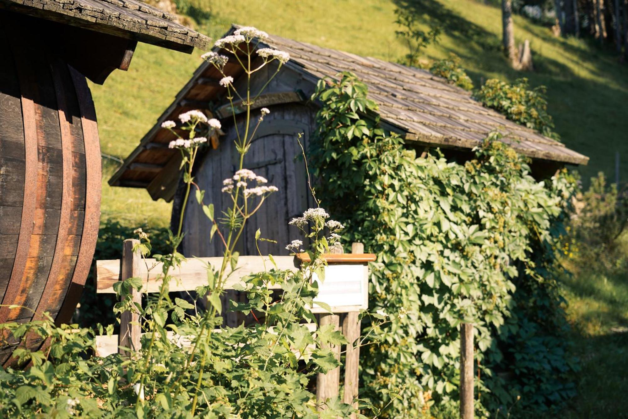 Singerskogel - Ferienhof Und Jausnstub'N Spital Am Pyhrn Luaran gambar
